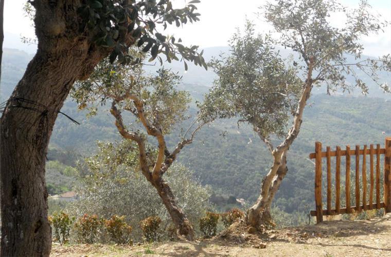 Casale Il Gheppio Konuk evi Laureana Cilento Dış mekan fotoğraf